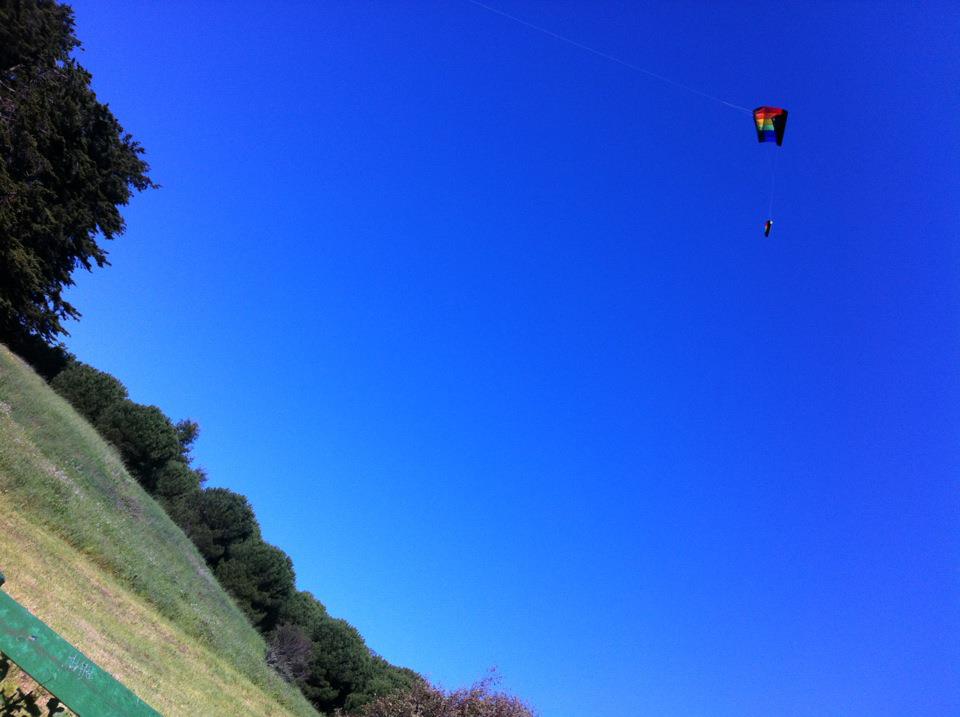 Kite